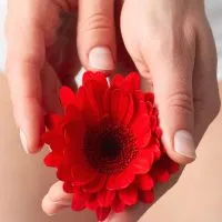 Tampone cervico vaginale per la diagnosi di infezioni presso Zero Medical Center Zero Branco Treviso