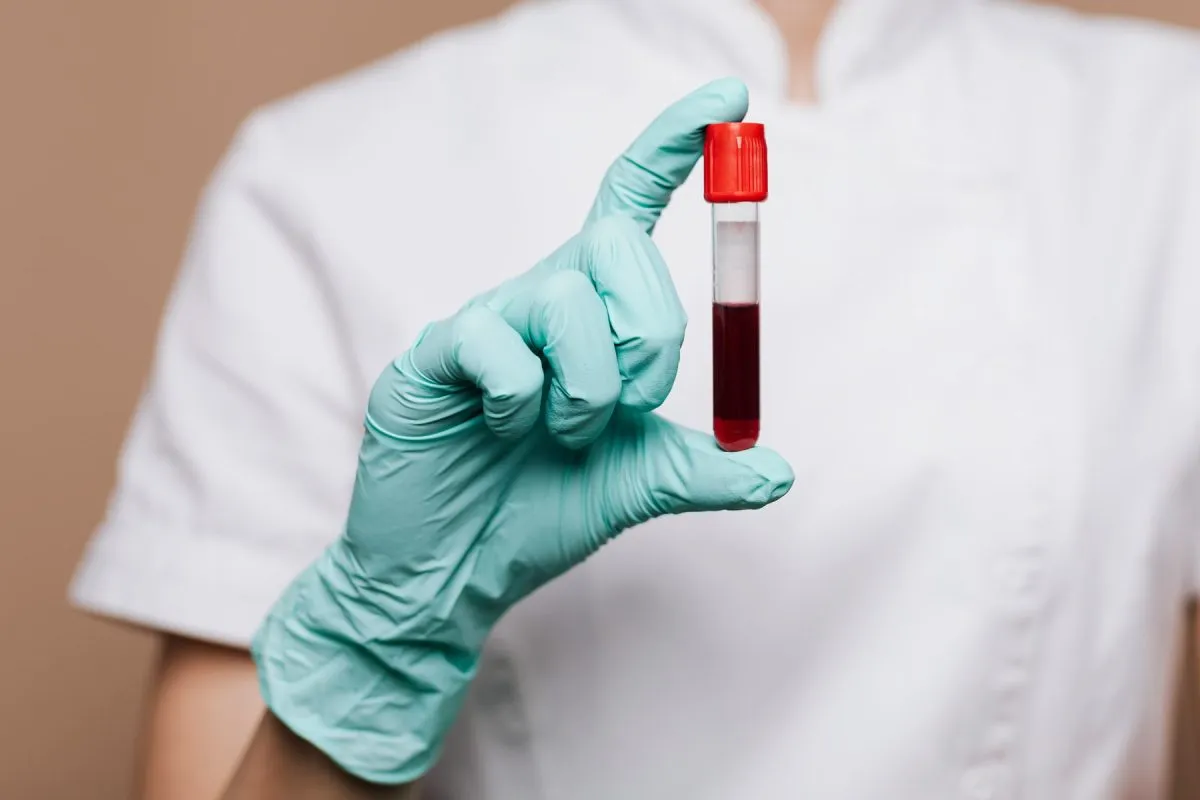 esami ematochimici e Analisi del sangue Treviso Zero Branco