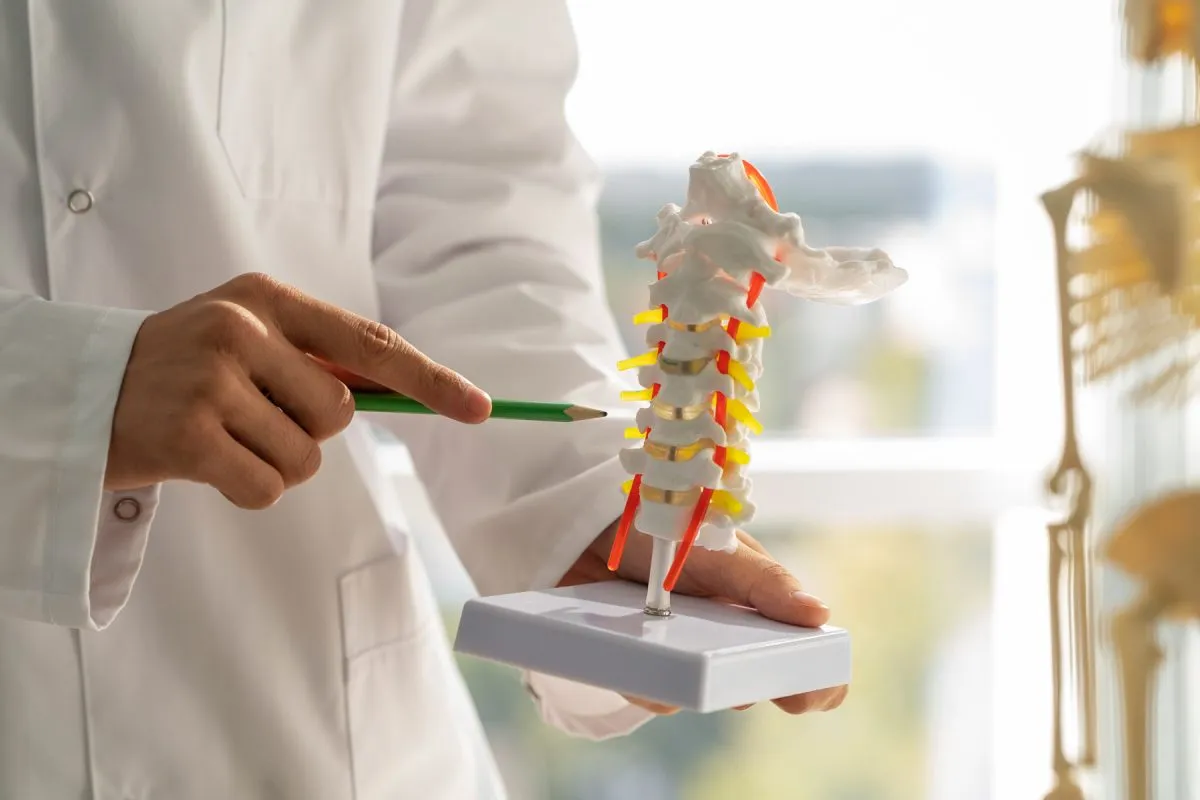 visita osteoporosi endocrinologo treviso zero branco zero medical center